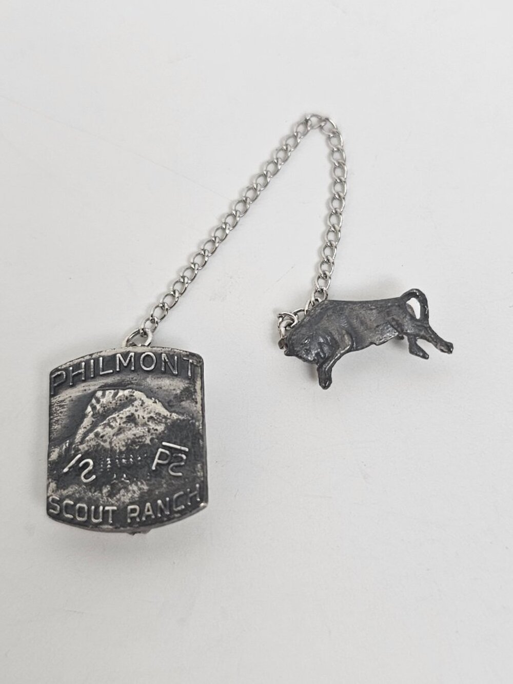 Philmont Scout Ranch Robbins Bull Tooth of Time Sterling Silver Lapel Pin BSA